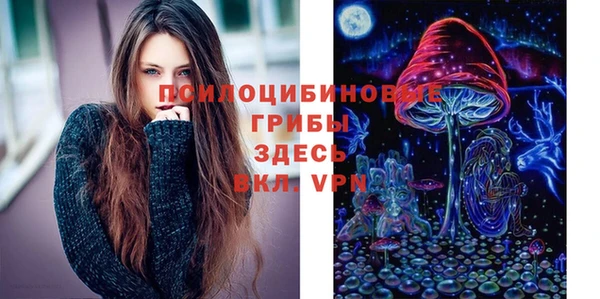 PSILOCYBIN Армянск