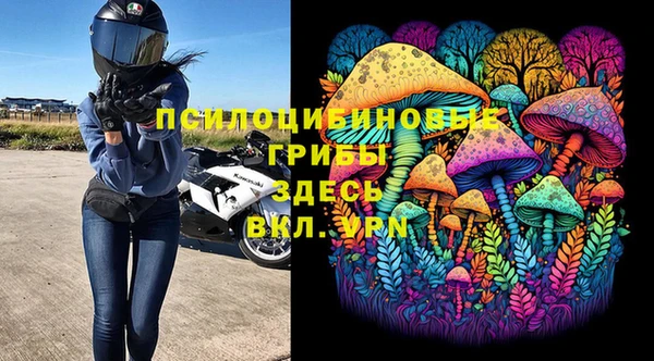 PSILOCYBIN Армянск