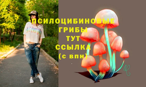 мдпв Заполярный