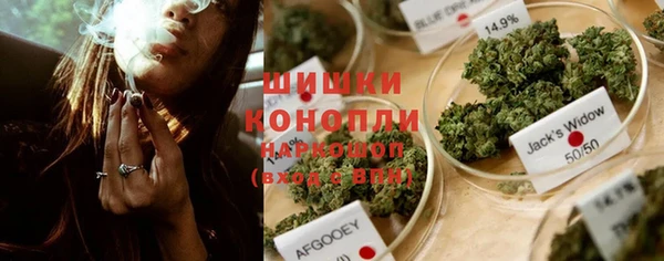 PSILOCYBIN Армянск