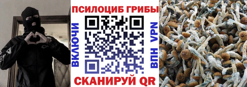 Купить  Анива  Псилоцибиновые грибы прущие грибы 